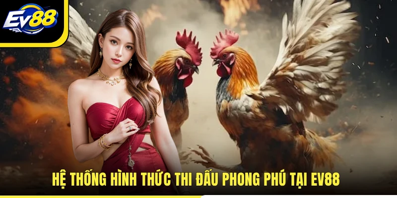 Hệ thống hình thức thi đấu phong phú tại EV88