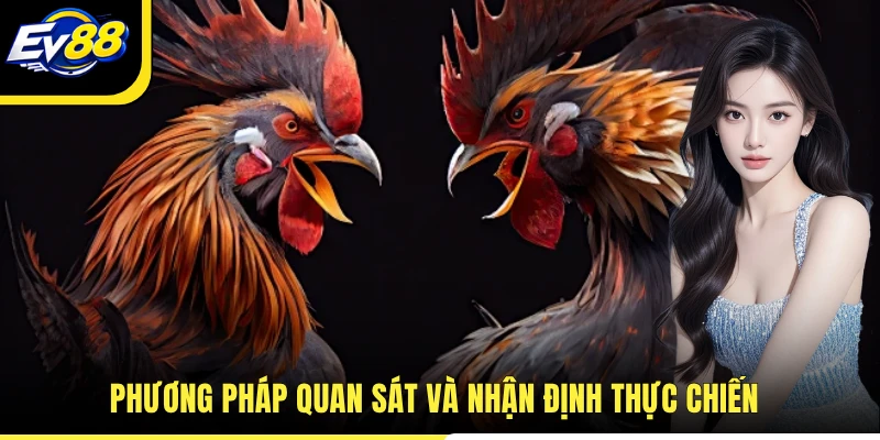 Phương pháp quan sát và nhận định thực chiến