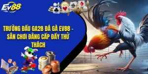 Trường Đấu GA28 Đá Gà EV88 - Sân Chơi Đẳng Cấp Đầy Thử Thách